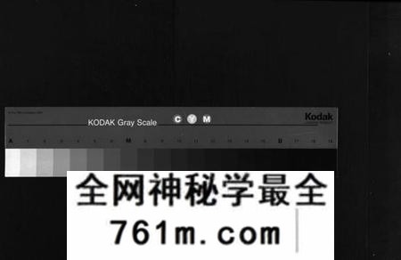 湖南胡氏族谱-胡氏族谱 [10卷,首1卷].pdf电子版