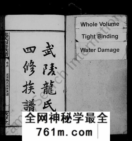 湖南龙氏族谱-武陵龙氏四修族谱 [13卷,首1卷].pdf电子版