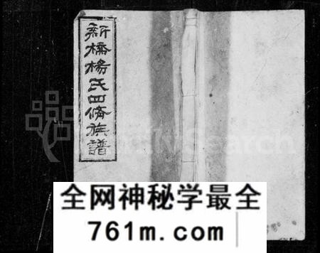 湖南杨氏族谱-新桥杨氏四修族谱 [62卷,首末各1卷,艺文3卷].pdf电子版
