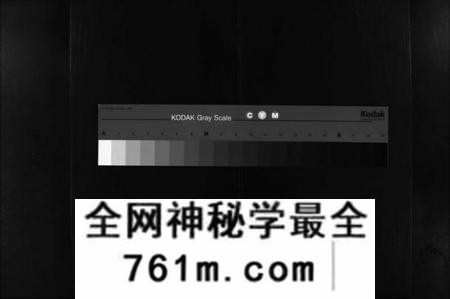 湖南谢氏族谱-谢氏大宗族谱 [按房分卷,12函,及首函上下].pdf电子版