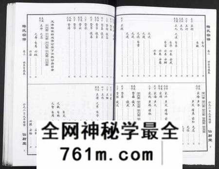 湖北梅氏族谱-梅氏大成宗谱.pdf电子版