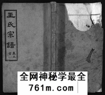 湖北王氏族谱-王氏宗谱[13卷,首3卷](别名：Wong Shi Zu Pu).pdf电子版