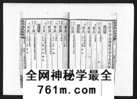 湖南陈氏族谱-扶彝陈氏族谱.pdf电子版