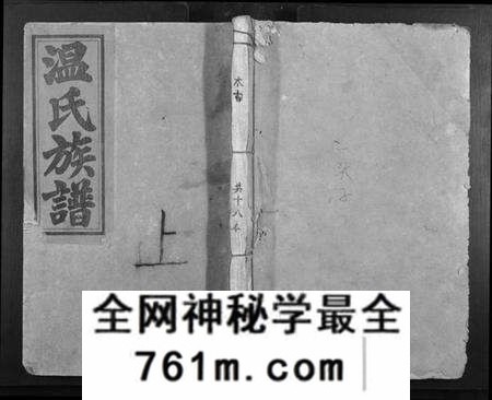 江西温氏族谱-温氏何修族谱[不分卷].pdf电子版