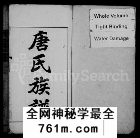 湖南唐氏族谱-慈石澧临唐氏族谱 [59卷].pdf电子版