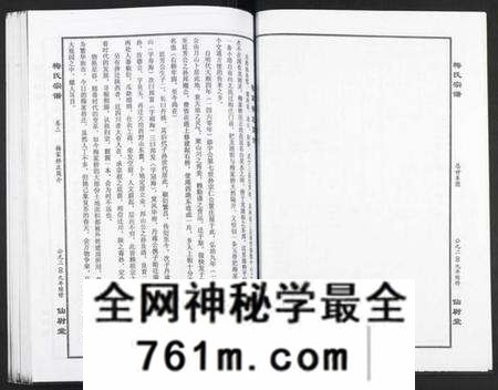 湖北梅氏族谱-梅氏大成宗谱.pdf电子版