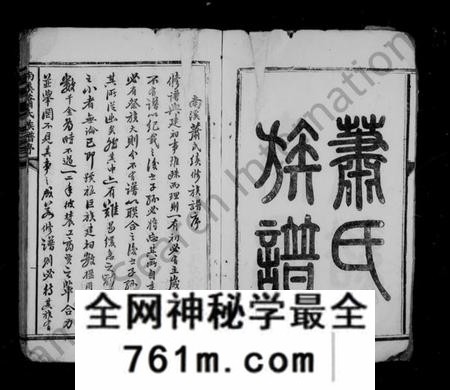 江西萧氏族谱-泰和南溪萧氏族谱 [10卷].pdf电子版