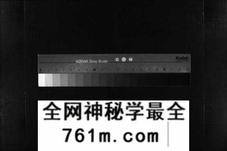 湖北谢氏族谱-杨氏宗谱 [10卷](别名：杨氏续修宗谱、Yang Shi Zong Pu、杨氏宗谱).pdf电子版