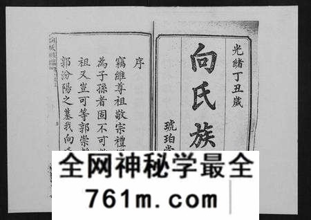 湖南向氏族谱-向氏族谱.pdf电子版