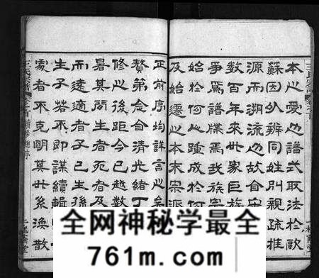 湖北王氏族谱-王氏宗谱 [8卷,首3卷](别名：Wang Shi Zong Pu).pdf电子版