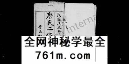 四川唐氏族谱-绵西唐氏二修族谱 [12卷,首1卷](别名：绵西唐氏二修族谱).pdf电子版