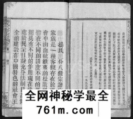 湖北杨氏族谱-杨氏八修宗谱 [20卷,世系2卷,首4卷](别名：杨氏三分宗谱、浠川杨氏八修宗谱).pdf电子版