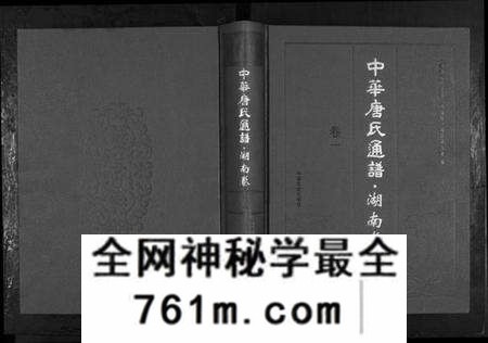湖南唐氏族谱-中华唐氏通谱.pdf电子版