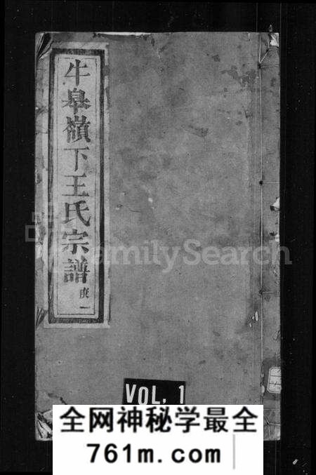 浙江王氏族谱-牛皋岭下王氏宗谱.pdf电子版