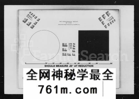 湖南盛氏族谱-纠田盛氏族谱.pdf电子版