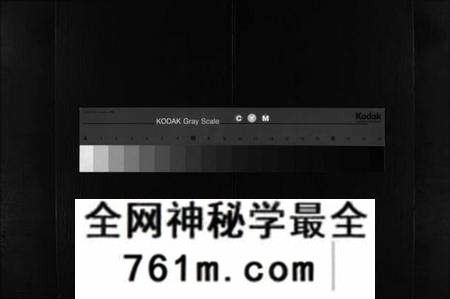 湖北李氏族谱-冈邑李裕宗谱 [残卷](别名：Gang Yi Li Yu Zong Pu、李氏宗谱).pdf电子版
