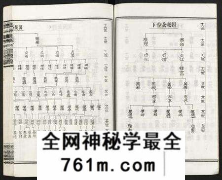 湖南王氏族谱-皮林王氏五修族谱 [26卷].pdf电子版