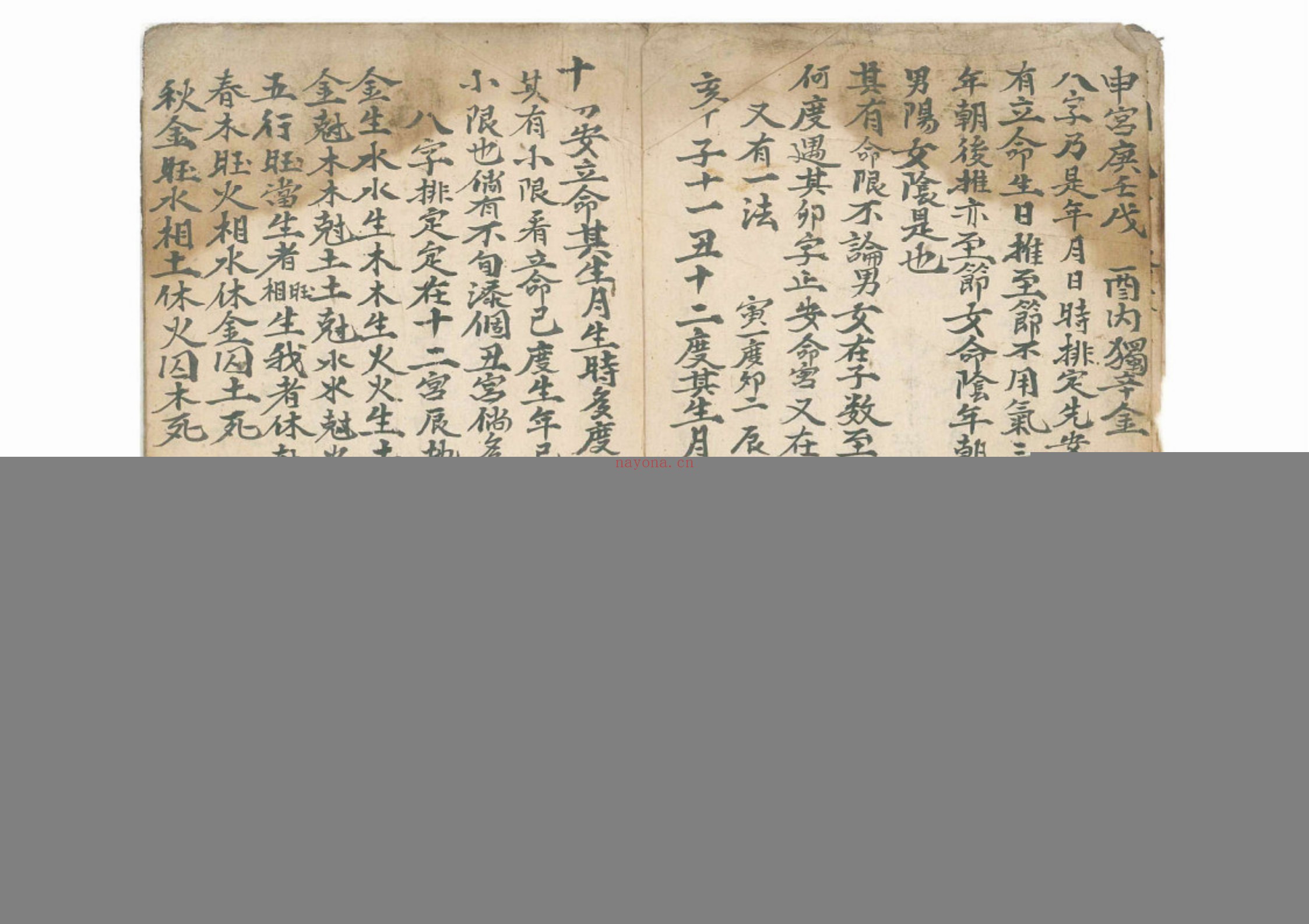 命理律条