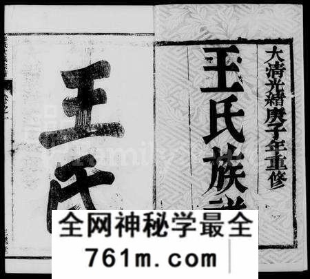 江苏王氏族谱-金沙王氏大成宗谱 [4卷](别名：王氏宗谱、王氏族谱).pdf电子版