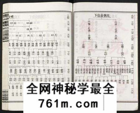 湖南王氏族谱-皮林王氏五修族谱 [26卷].pdf电子版