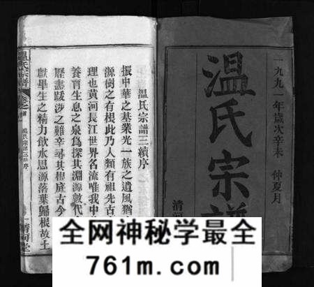 湖北温氏族谱-温氏宗谱 [15卷,首4卷](别名：Wen Shi Zong Pu).pdf电子版