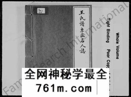 中国王氏族谱-王氏谱系及名人志.pdf电子版