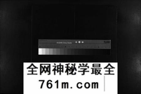 江西谢氏族谱-谢氏宗谱 [卷数杂异].pdf电子版