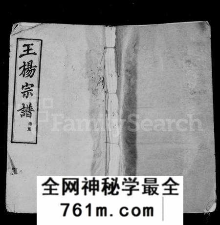 湖北王氏族谱-王杨宗谱 [11卷,首2卷].pdf电子版