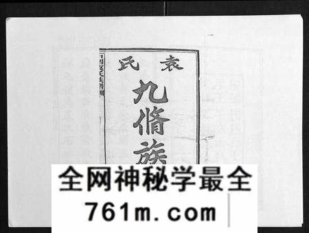 湖南袁氏族谱-石园袁氏族谱[24卷].pdf电子版
