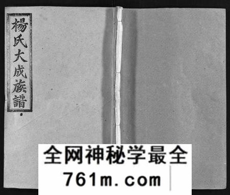 湖南杨氏族谱-杨氏大成族谱[27卷].pdf电子版