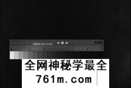 湖北戴氏族谱-七修戴氏宗谱 [54卷,首末各1卷](别名：戴氏宗谱、Qi Xiu Dai Shi Zong Pu).pdf电子版