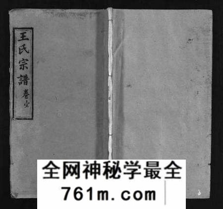 湖北王氏族谱-王氏宗谱 [3卷,首1卷](别名：王氏宗谱金奎房支分续修、王氏宗谱、Wang Shi Zong Pu).pdf电子版