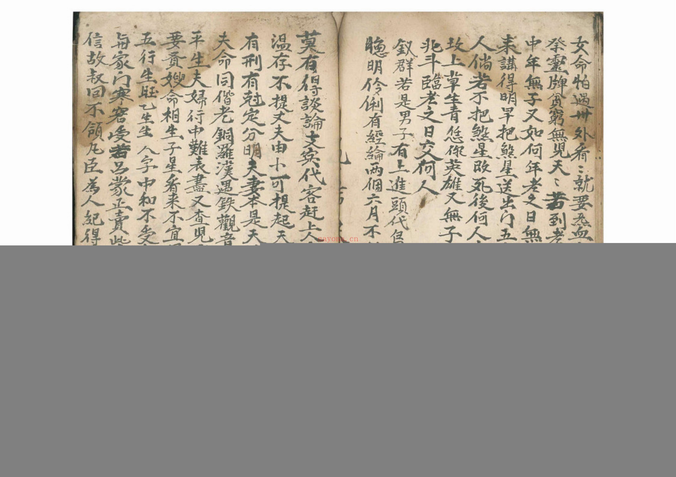 命理律条