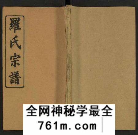 湖南罗氏族谱-义口罗氏宗谱 [残卷].pdf电子版