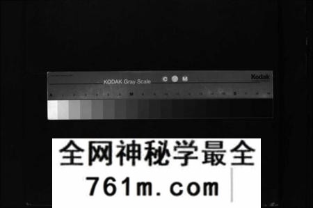 江西王氏族谱-王氏续修族谱 [残卷].pdf电子版