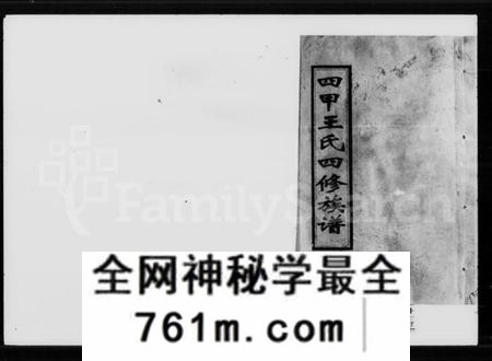 湖南王氏族谱-四甲王氏四修族谱 [15卷,首尾各1卷].pdf电子版