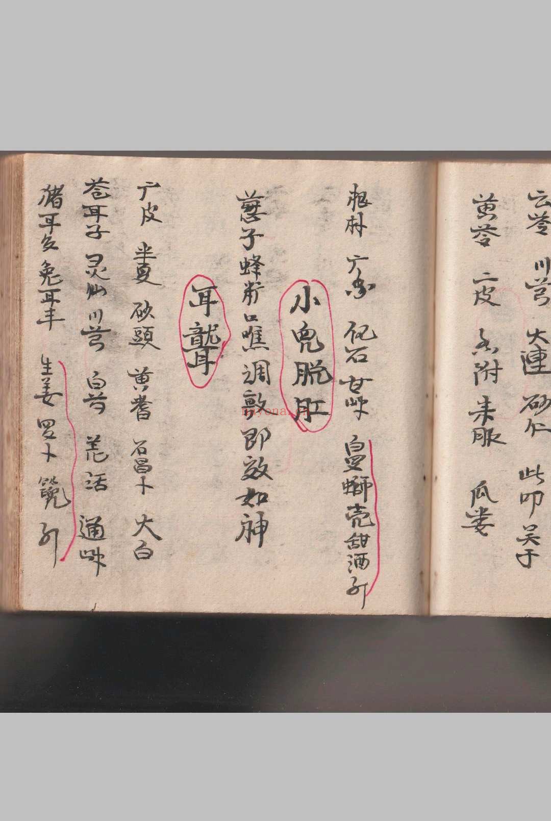 《灵仙神》水师自记