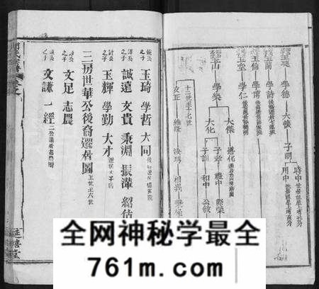 湖北胡氏族谱-胡氏宗谱 [19卷,首1卷](别名：楚黄麻邑长潭胡氏宗谱).pdf电子版