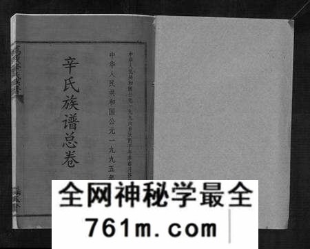 江西辛氏族谱-万载辛氏族谱 [按房分卷, 总卷2册, 长房谱44册, 次房谱1册, 幼房18册].pdf电子版