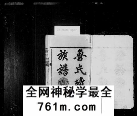 湖南鲁氏族谱-资阳鲁氏族谱 [16卷,首1卷].pdf电子版
