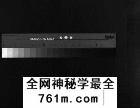 湖北胡氏族谱-胡氏宗谱 [10卷,首1卷](别名：黄冈县胡氏宗谱、Hu Shi Zong Pu).pdf电子版