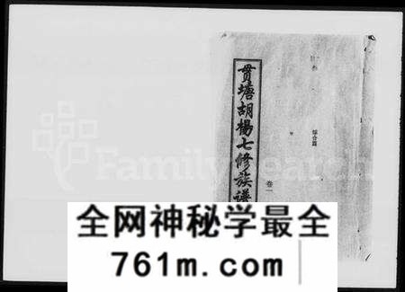 湖南胡氏族谱-贯塘胡杨七修族谱 [20卷].pdf电子版