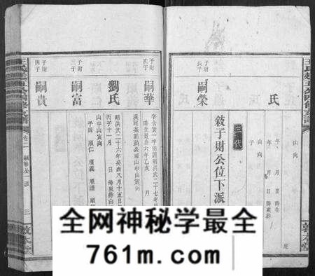 湖南王氏族谱-王氏廷五公四修支谱.pdf电子版
