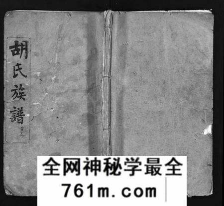 湖北胡氏族谱-胡氏族谱 [14卷](别名：胡氏族谱四修、Hu Shi Zu Pu).pdf电子版