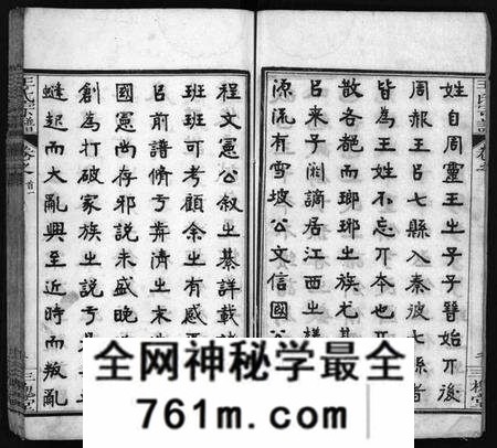 湖北王氏族谱-王氏宗谱[13卷,首3卷](别名：Wong Shi Zu Pu).pdf电子版