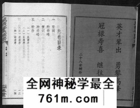江西辛氏族谱-万载辛氏族谱 [按房分卷, 总卷2册, 长房谱44册, 次房谱1册, 幼房18册].pdf电子版