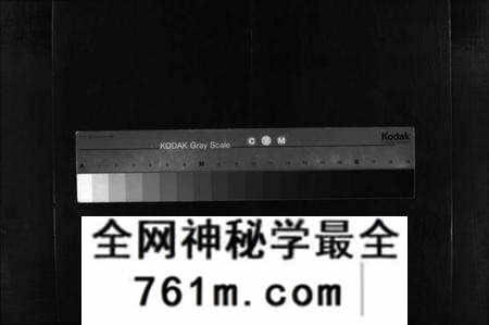 湖北王氏族谱-王氏宗谱 [9卷](别名：Wang Shi Zong Pu).pdf电子版
