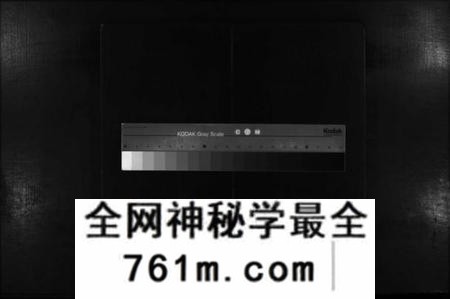 湖南廖氏族谱-廖氏续修族谱 [不分卷].pdf电子版