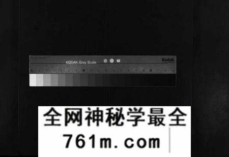 湖北夏氏族谱-鹤山夏氏宗谱 [60卷,卷首按支分卷](别名：He Shan Xia Shi Zong Pu、鹤山夏氏四修宗谱、鹤山夏氏宗谱).pdf电子版