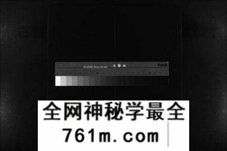 浙江陈氏族谱-陈氏石角寮派房谱 [不分卷].pdf电子版